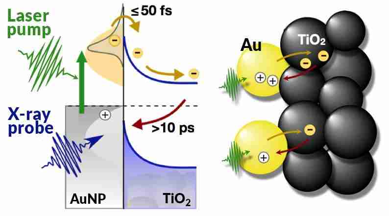 Harvesting Efficiency: Inside the Rice Mill Plant Revolution
