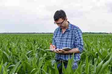 Unlocking Efficiency: The Role of Rice Milling Units in Farming