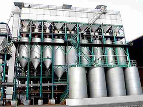 Unlocking Nutrition: The Journey of a Parboiled Rice Plant