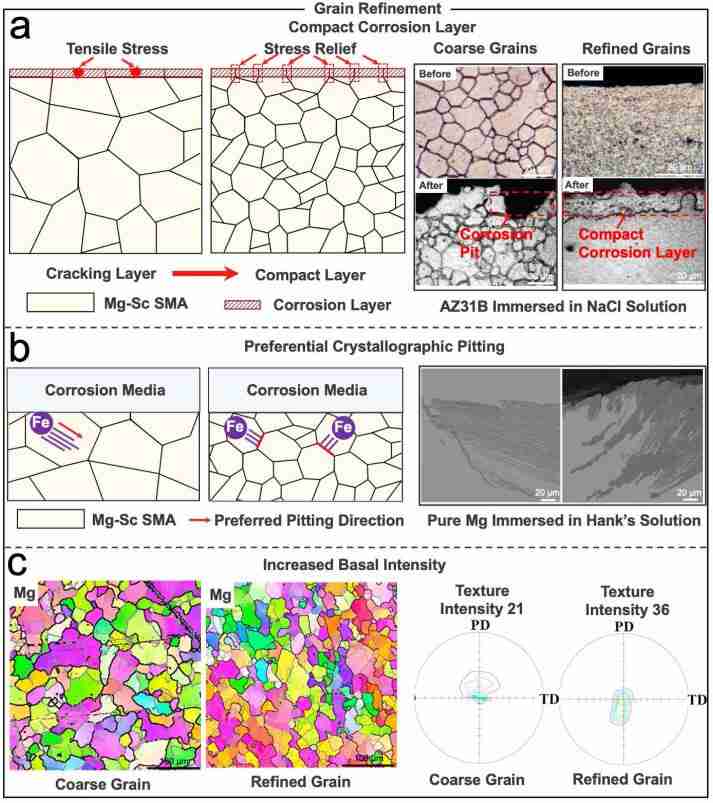 Discover the Mini Rice Polisher: A Small Wonder for Grains 1 The Art of Grain Refinement Unveiled