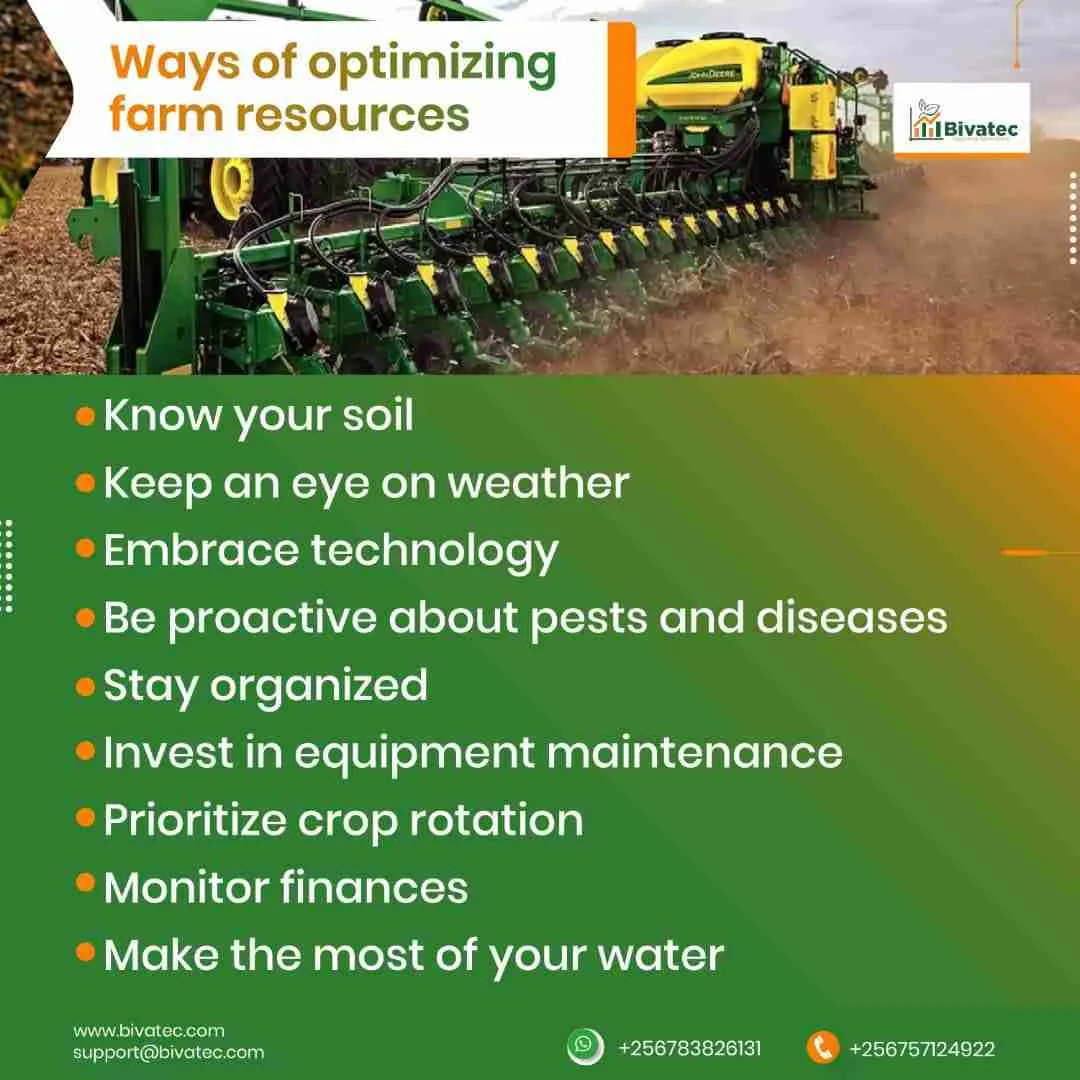 Streamlining Grain Processing: The Innovation of Combined Rice Mill Machines 2 Maximizing Yield: The Role of Combined Machines in Grain Processing