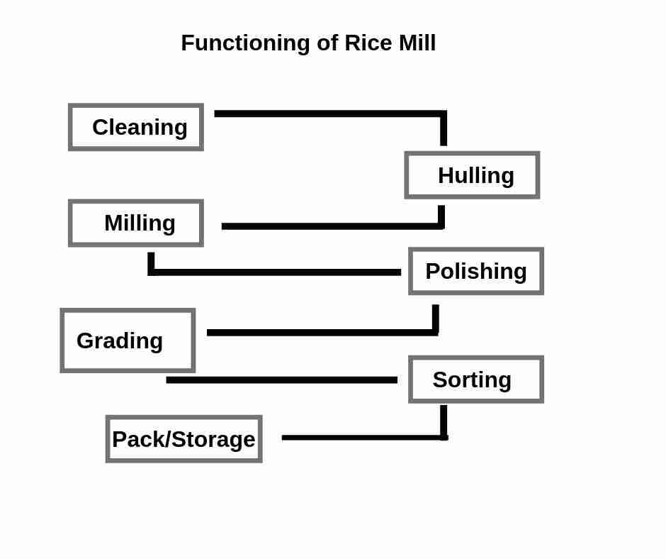 Transforming Grains: An Insight into Industrial Rice Milling 1 Exploring the Rice Milling Process from Field to Table