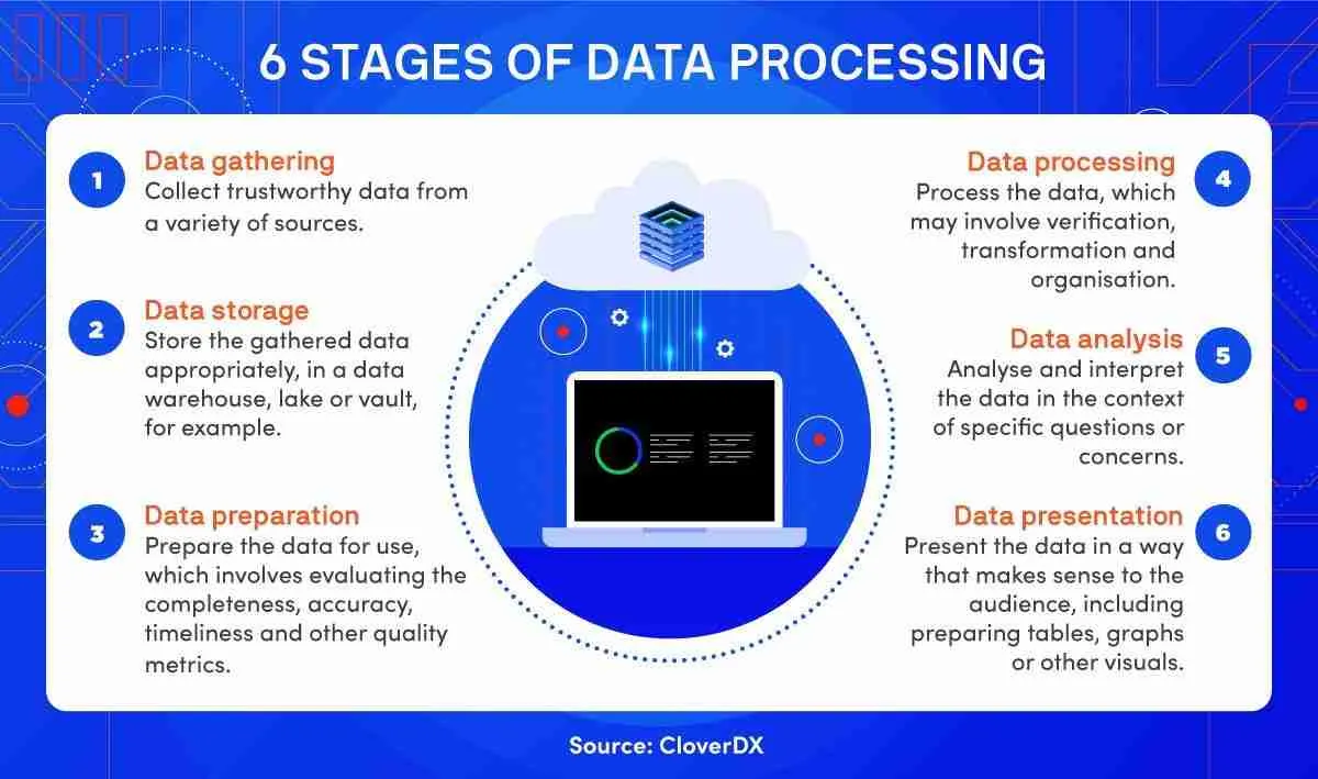Transforming Paddy: The Journey from Field to Fork 2 Navigating the Processing Stages: From Harvest to Packaging