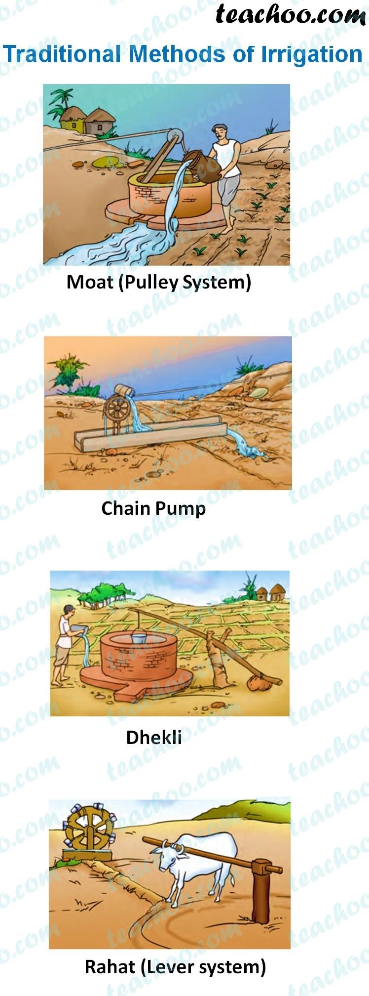 From Cob to Cornmeal: The Journey of Corn Processing 2 Traditional Methods of Corn Processing: Exploring Time-Honored Techniques