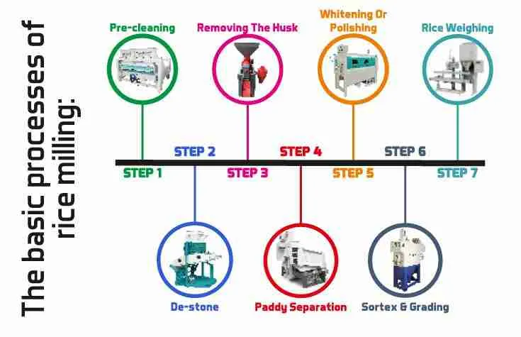 From Grain to Gold: The Journey of Rice Milling 1 Understanding the Rice Milling Process from Harvest to Market