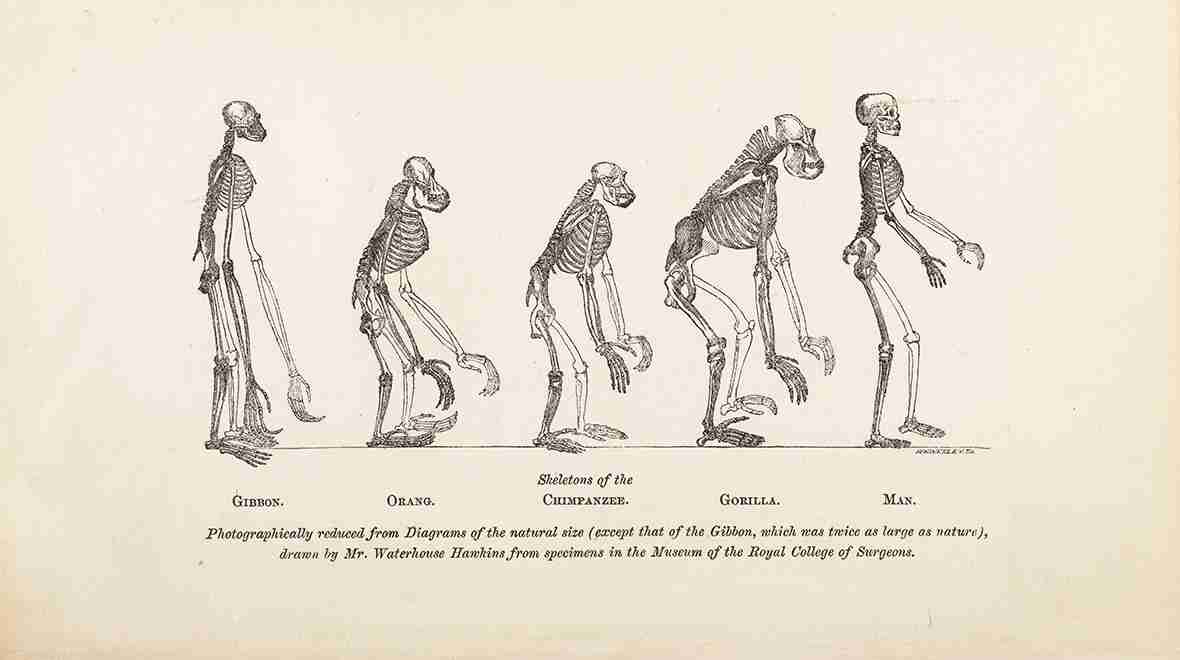 Streamlining Harvest: The Rise of Combine Mini Rice Mills 1 The Evolution of Mini Rice Mills in Modern Agriculture