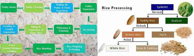Unveiling the Journey: Inside a Modern Rice Processing Plant 1 Understanding the Workflow: Steps in Rice Processing from Field to Table