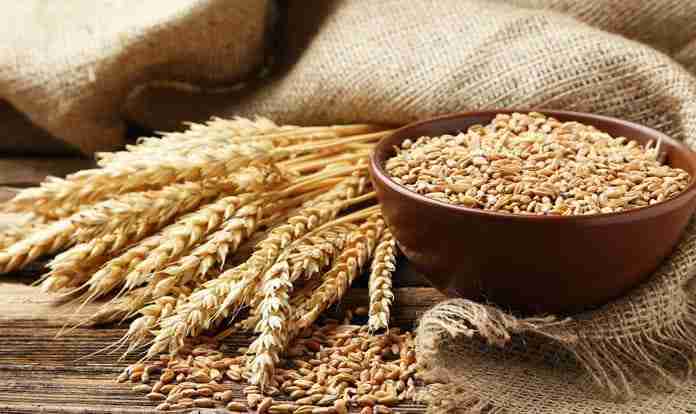 From Grain to Gourmet: The Journey Through a Rice Mill 2 From Raw Grain to Polished Perfection: The Transformation Journey