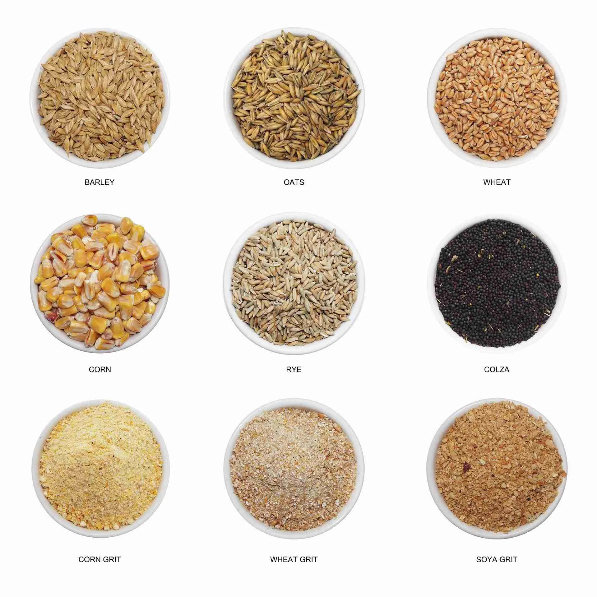 Transforming Grains: The Essentials of Rice Processing Plants 1 Understanding the Grain Journey from Field to Fork