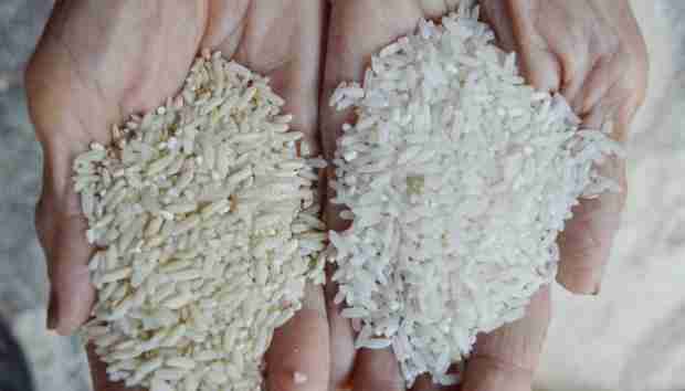 Unlocking Quality: Exploring the Top Rice Mills Today 1 Understanding the Standards of Rice Quality in Modern Milling