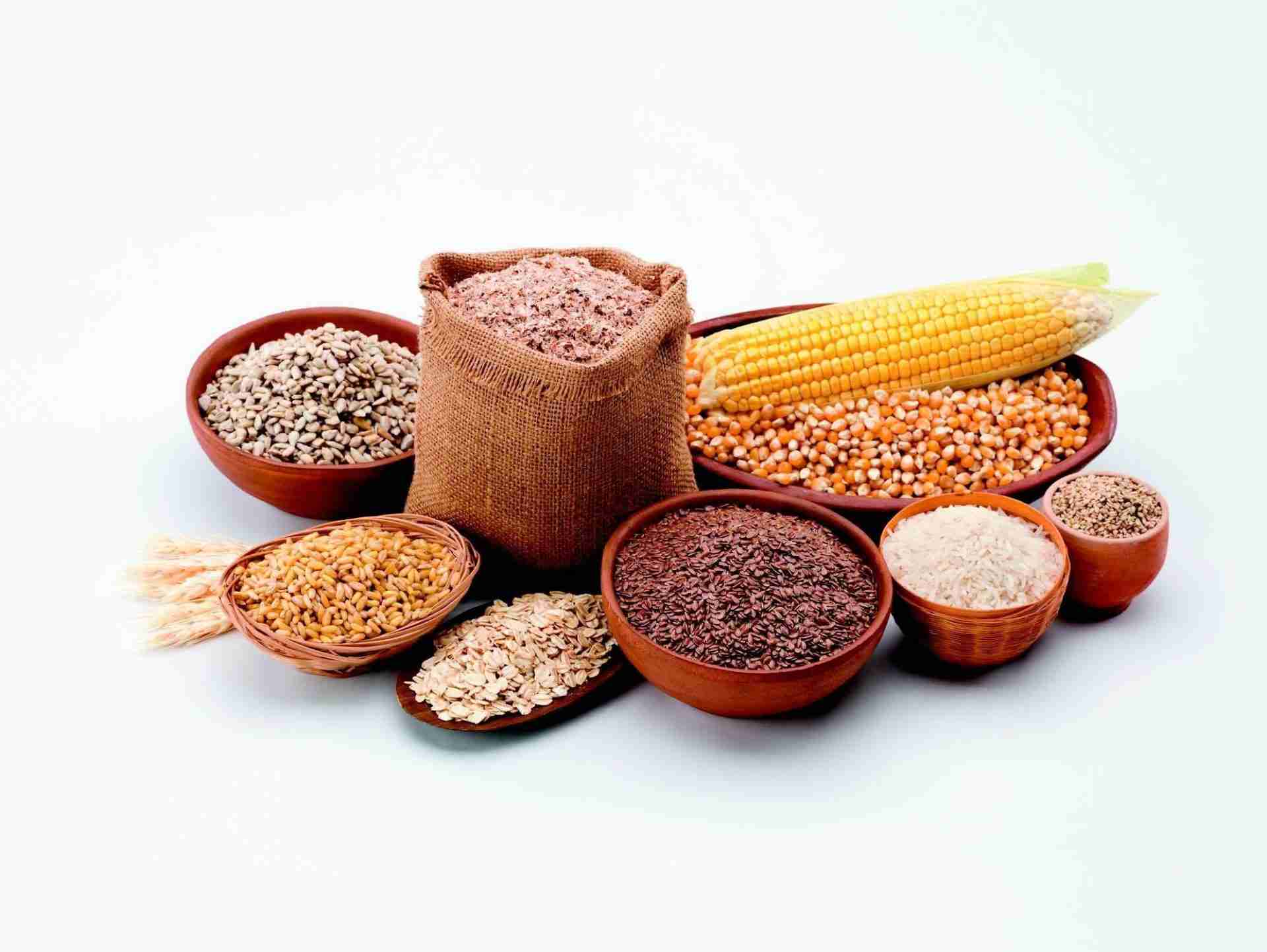 Grains of Innovation: The Journey of Modern Rice Mills