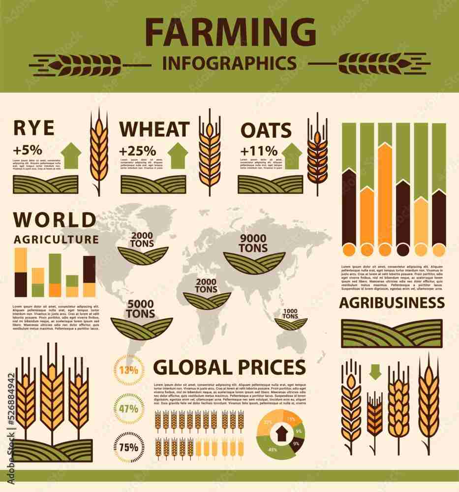 Revolutionizing Grain: The Efficiency of Mini Rice Milling Machines