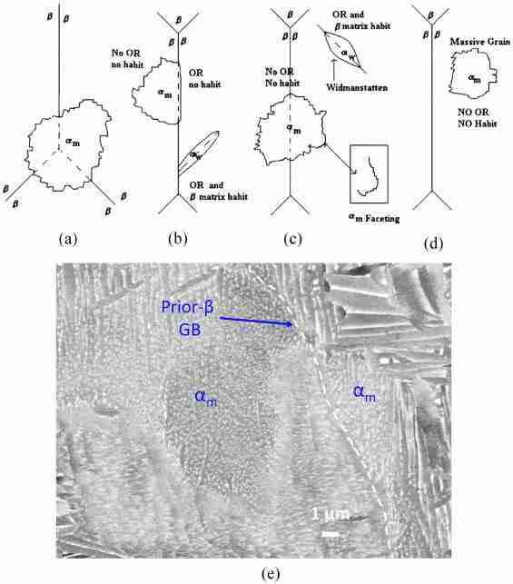 Transforming Grain: Inside a Modern Paddy Processing Factory