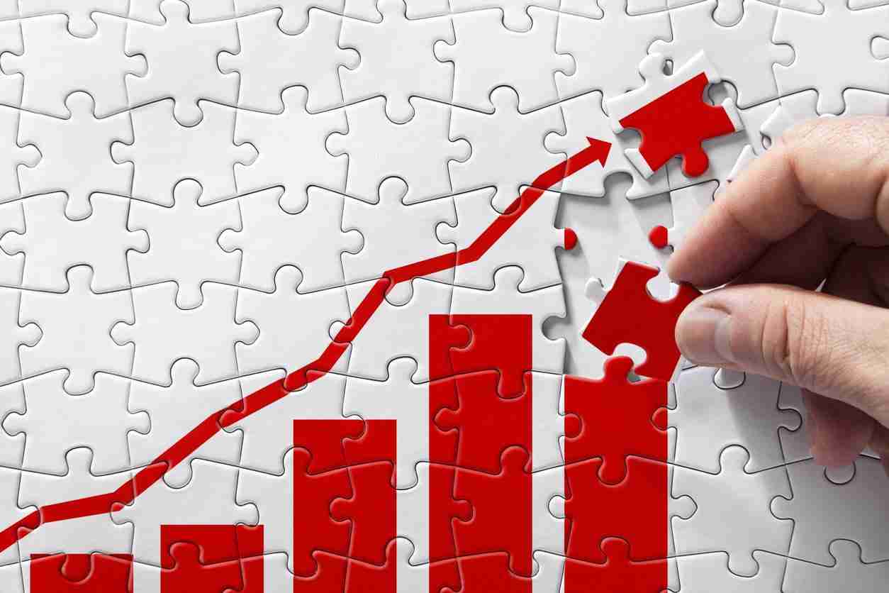 Scaling Success: Launching a 2-Ton Rice Mill Plant Project