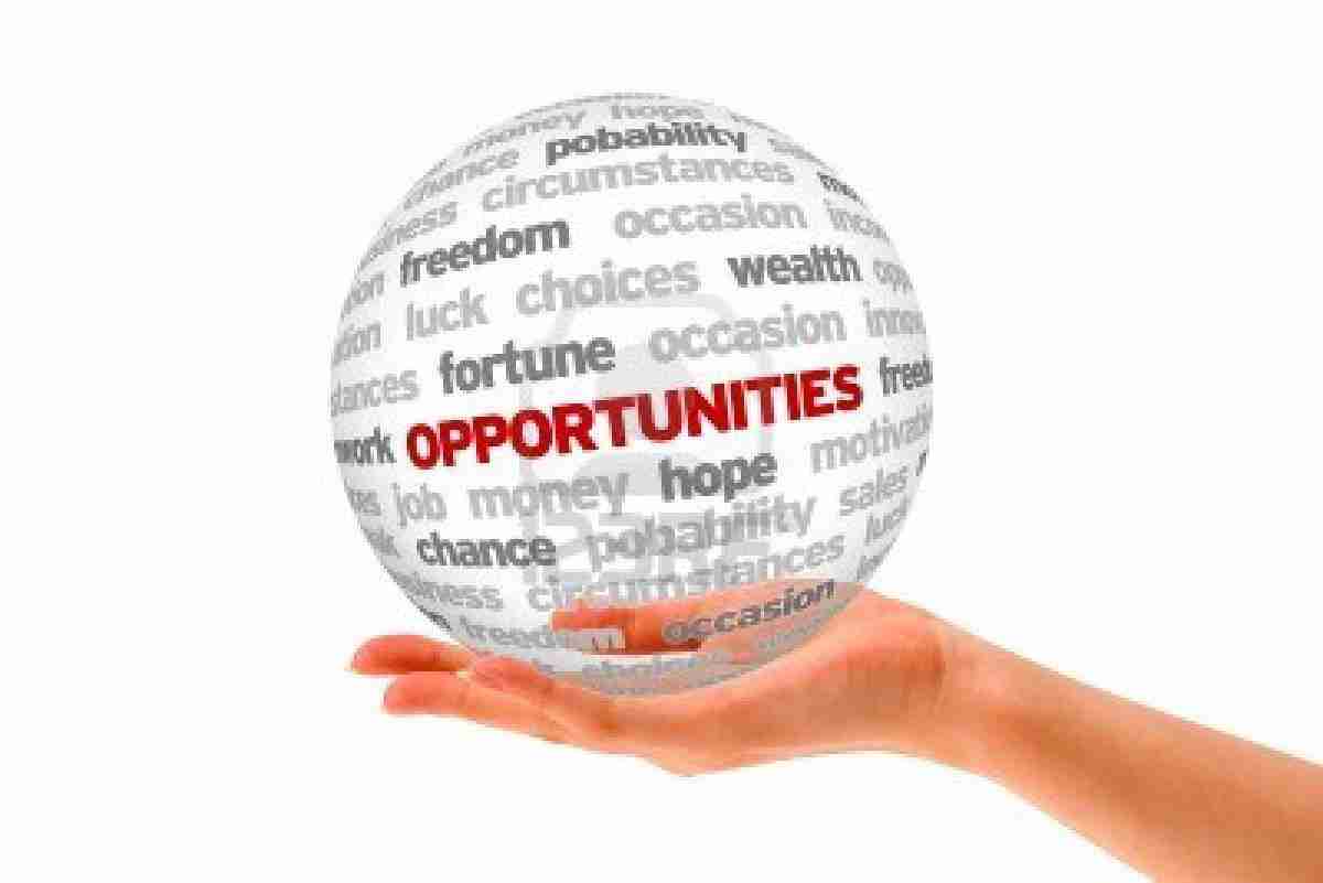 Unlocking Opportunity: The Mini Rice Mill Plant Advantage