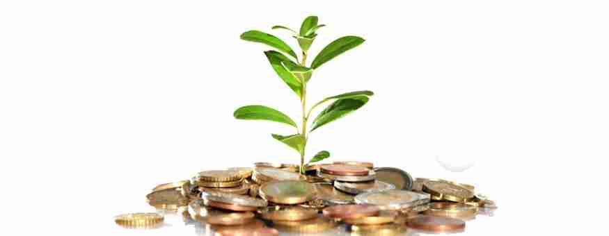 Exploring the ⁤Economic Benefits ⁢and Market⁢ Potential ⁢of Rice Milling