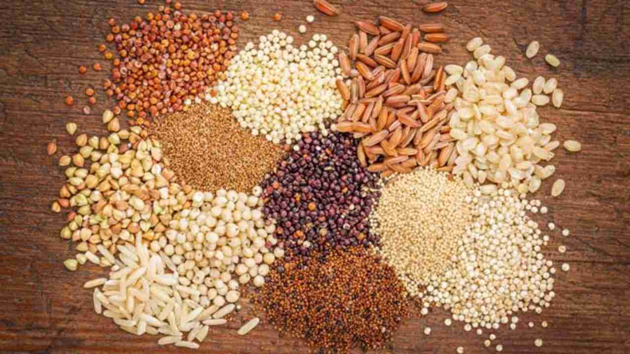 Cereal Milling Uncovered: The Art and Science of Grain Processing 2 Exploring the Varieties of Grains: Choosing the Right Ingredient