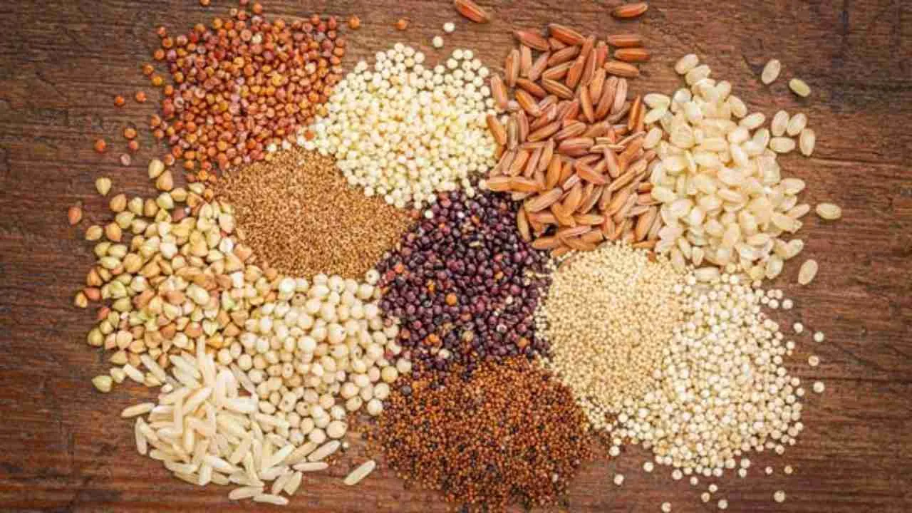 Cereal Milling Uncovered: The Art and Science of Grain Processing 2 Exploring the Varieties of Grains: Choosing the Right Ingredient