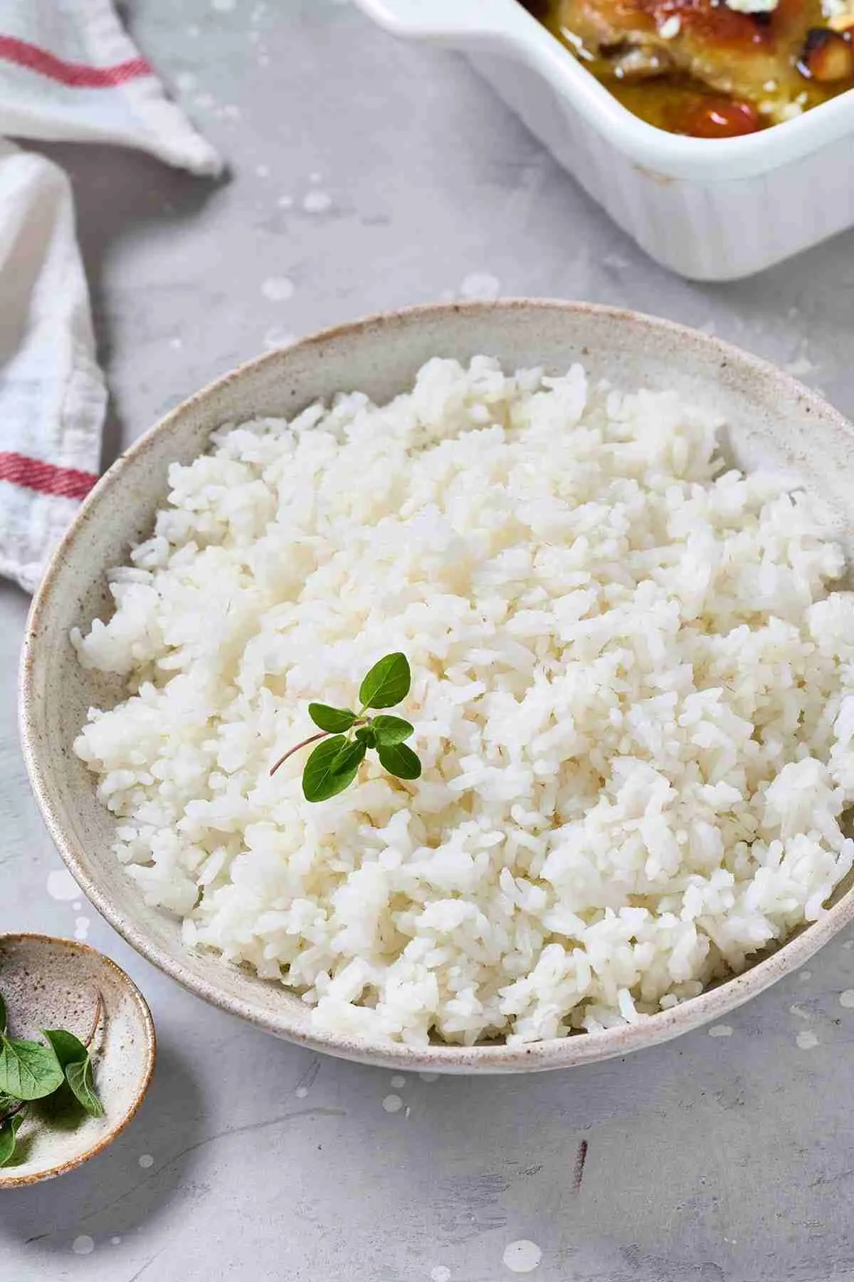 The Journey of Rice: Understanding the Paddy Lifecycle