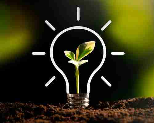 From Corn to Flour: The Art and Science of Maize Milling 4 Sustainability in Maize Milling: Practices for a Greener Future