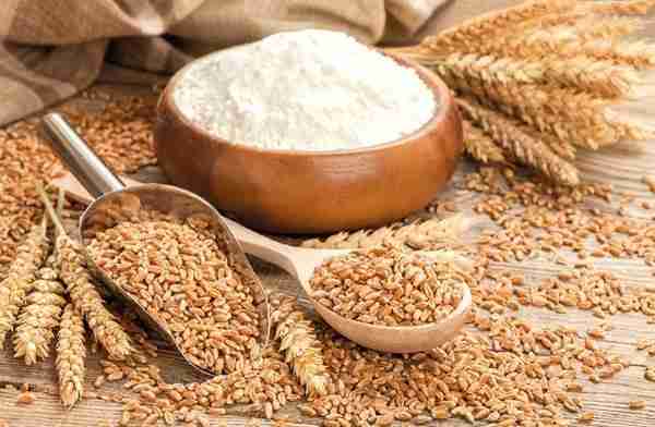 Enhancing Quality: The Jet Rice Polisher Revolution 2 Impact on Grain Quality and Nutritional Value