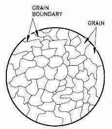 Grinding Tradition: The Art and Science of Maize Milling 2 Understanding the Science Behind Grain Structure and Milling