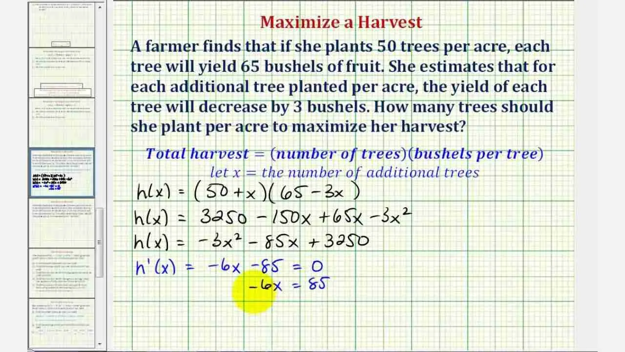 Maximizing Yield: The Benefits of Grain Transformation