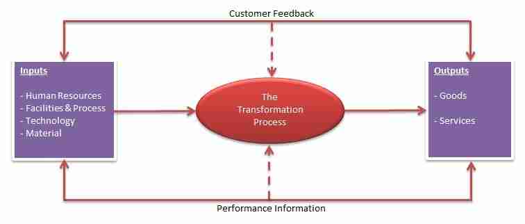 From Grain to Gold: The Journey of Rice Mills Unveiled 1 The Transformation Process: Understanding the Milling Techniques of Rice