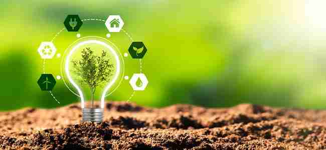 Unveiling the 2-Ton Rice Mill Plant: A Sustainable Solution 2 The Environmental Benefits of a Sustainable Rice Milling Solution