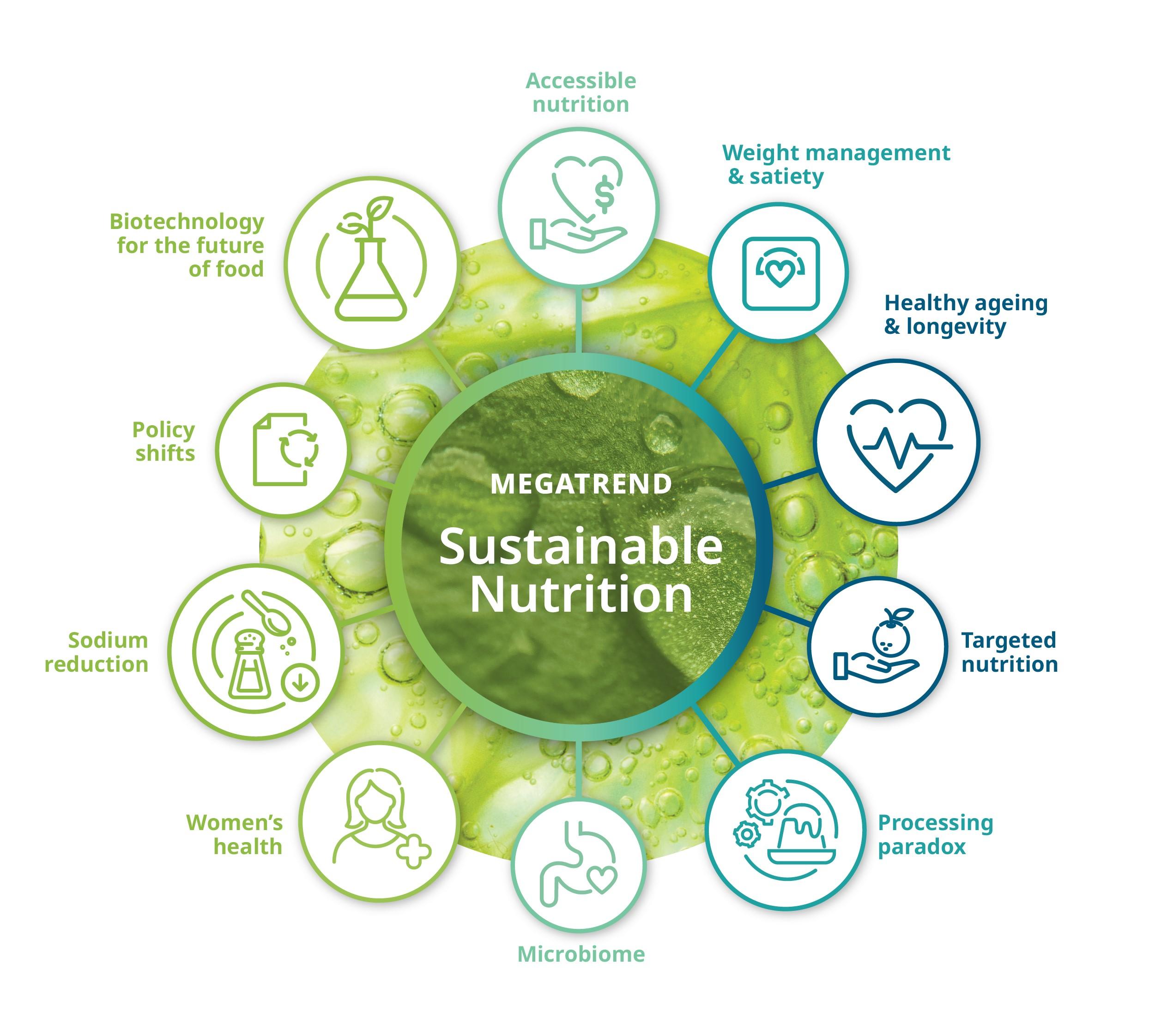From Cob to Flour: The Journey of Maize Milling Explained 3 Nutritional Insights: The Value of Maize Flour in Modern Diets
