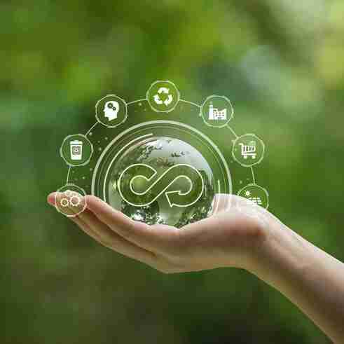 The Heart of Harvest: Exploring the World of Rice Mills 2 Sustainable Practices in Rice Milling: Innovations for a Greener Future