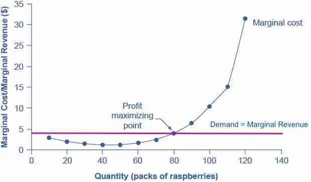 Unveiling Efficiency: The 4-Ton Rice Mill Plant Revolution 2 Maximizing Output: Strategies for Enhanced Efficiency in Rice Milling