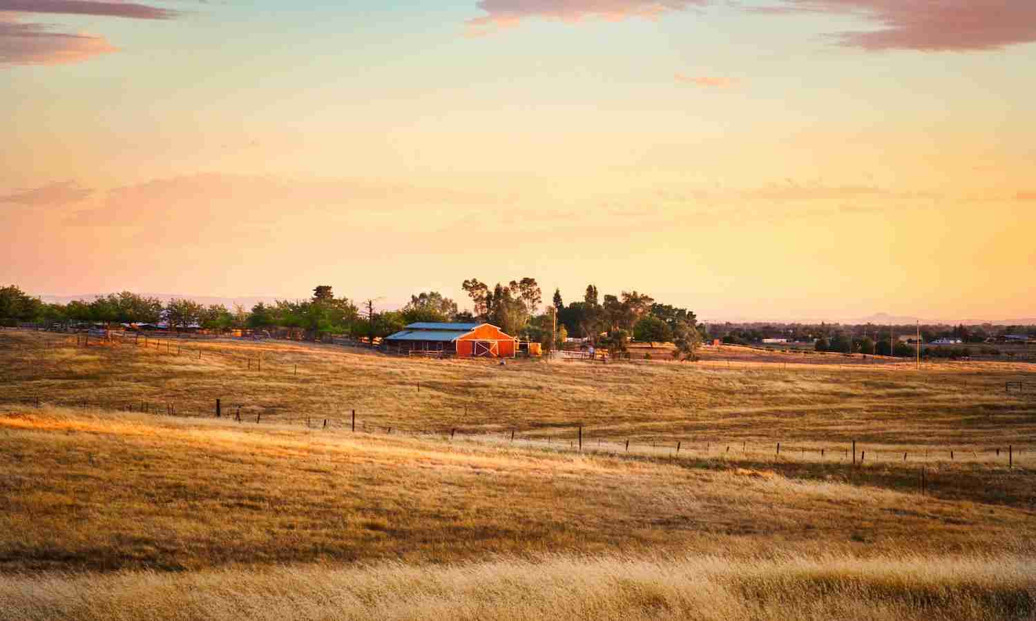 Revitalizing Agriculture: The Rise of the Combine Mini Rice Mill