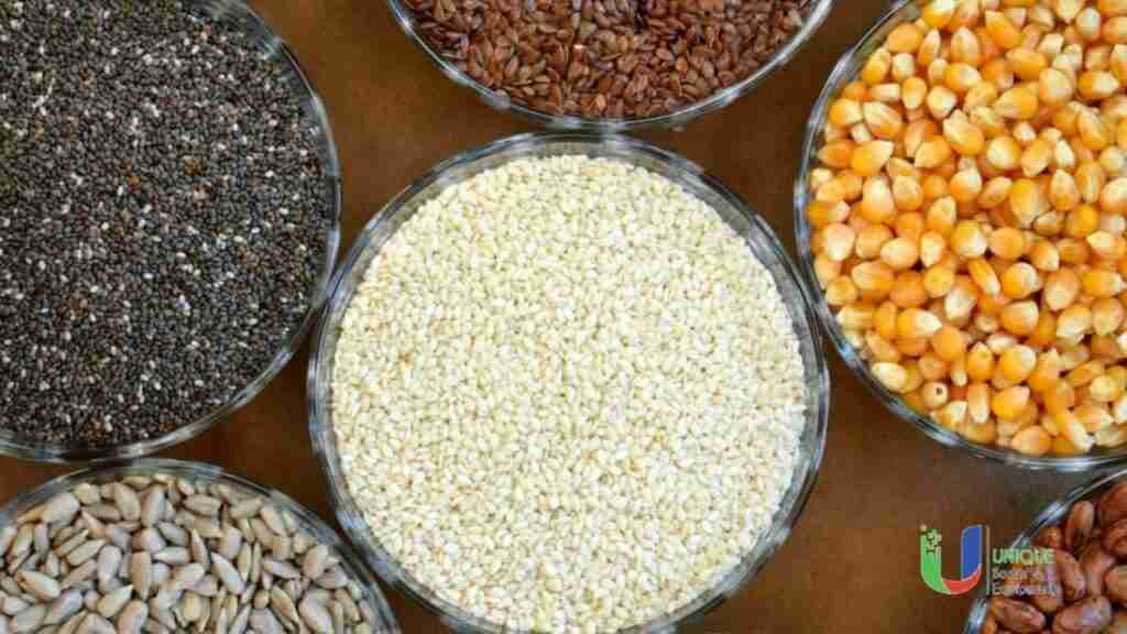 Enhancing Grains: The Essential Role of Rice Polishers