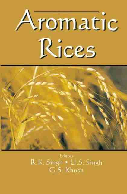 Behind the Scenes: The Journey of Rice from Grain to Mill