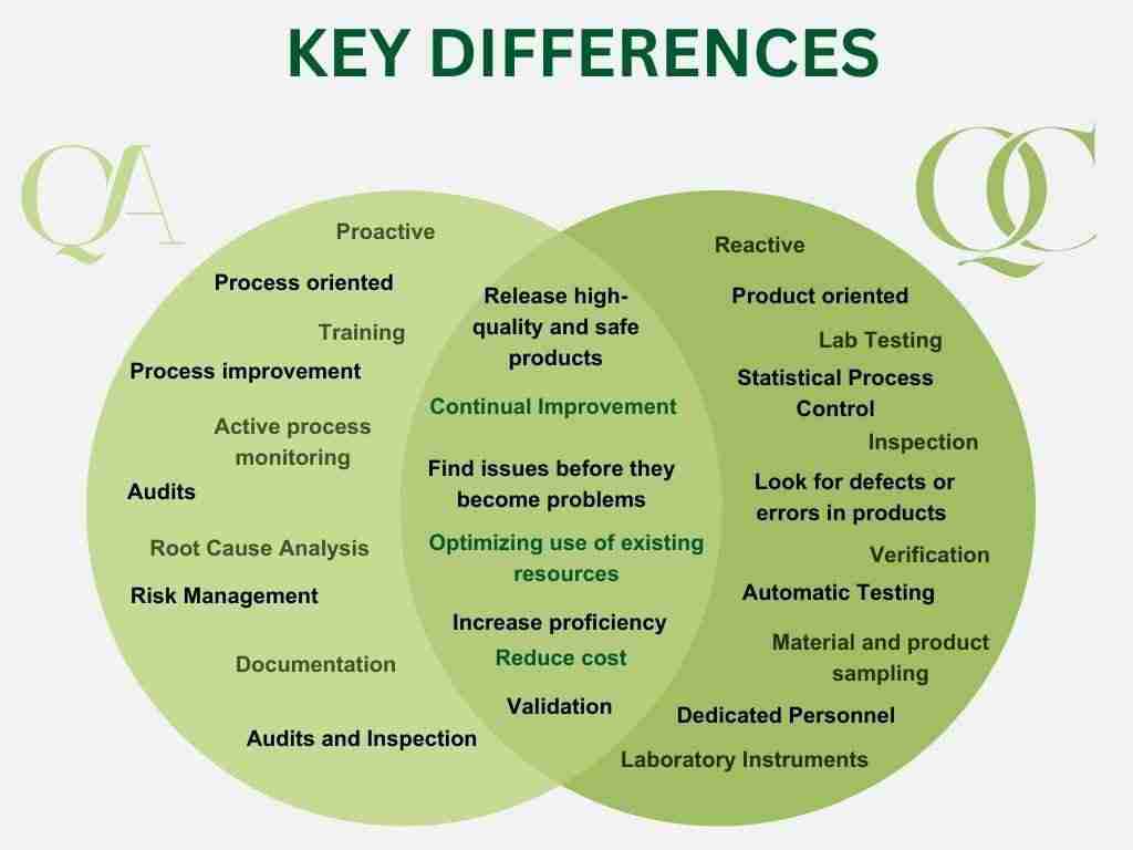 Optimizing Quality: Inside the Parboiled Rice Processing Plant