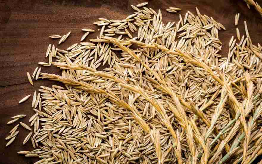 Revolutionizing Grains: The Rise of Fully Automatic Rice Mills