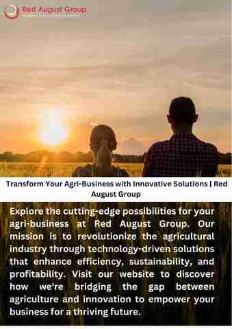 Transforming Agri-Business: The Rise of Mini Rice Mill Plants