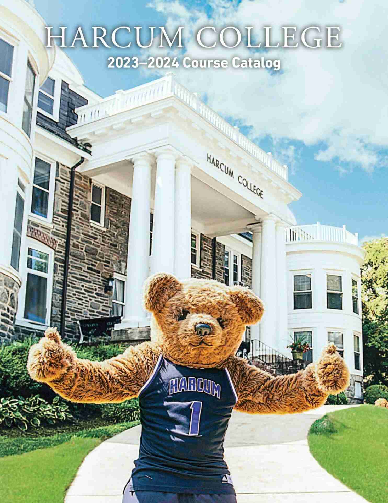 Top Rice Mills: Unveiling the Best Choices for Your Needs