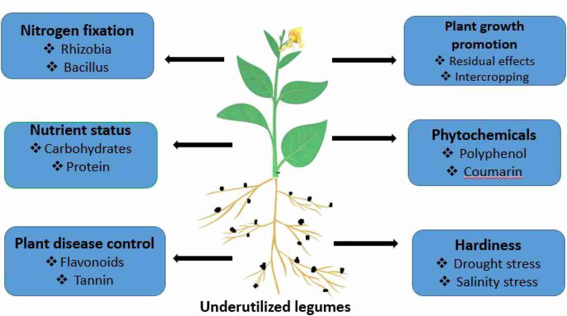 Unveiling the Heart of Agriculture: The Rice Mill Journey