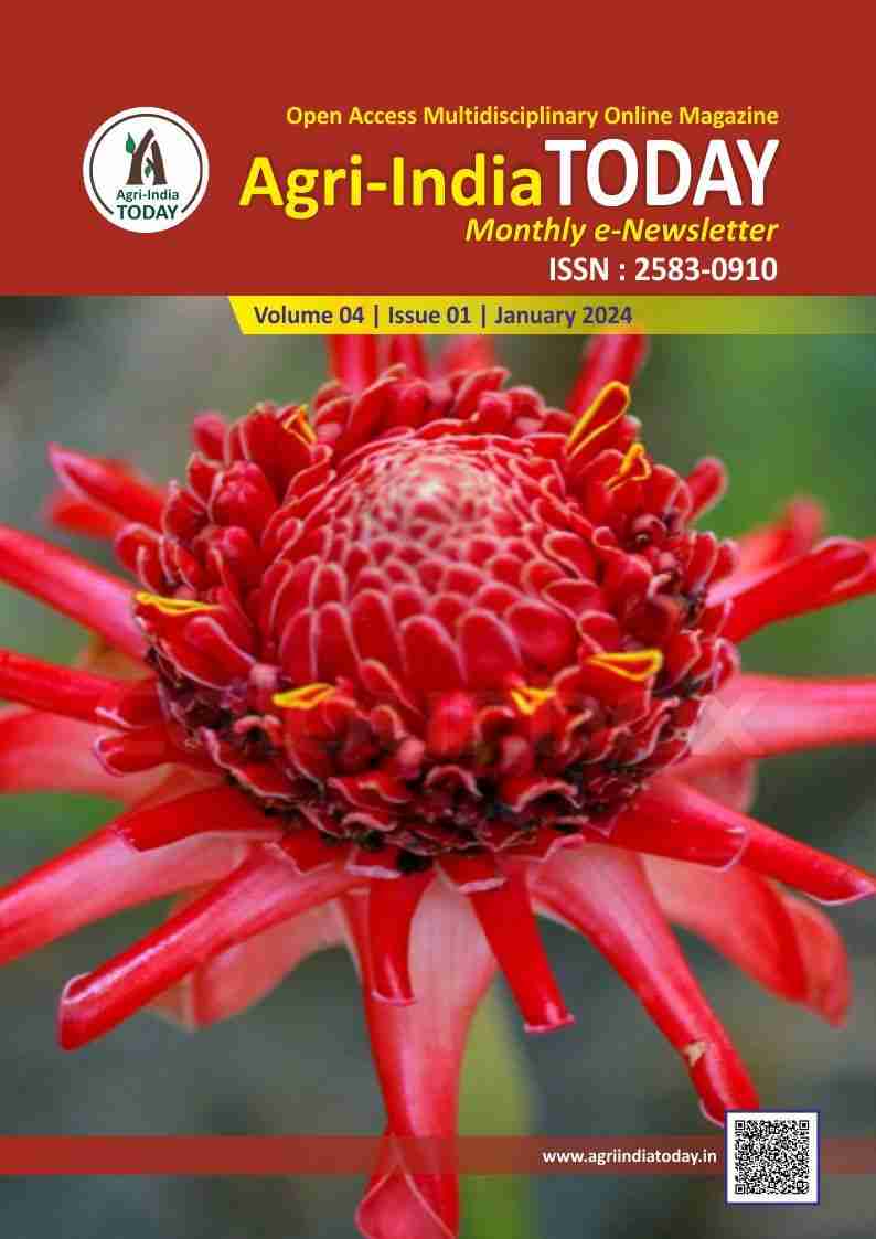 Unlocking Potential: Inside the Modern Rice Mill Plant