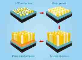 Transforming Grains: The Journey Through a Paddy Processing Factory 2 The Intricacies of Grain Transformation: From Paddy to Rice