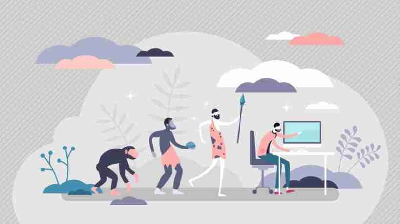 Mini Rice Mill: The Future of Small-Scale Grain Processing 1 The Technological Evolution of Mini Rice Mills in Modern Agriculture