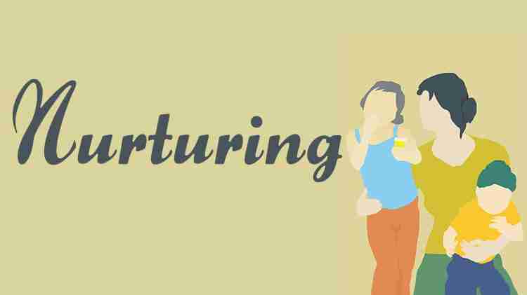 From Field to Factory: The Art of Corn Processing Unveiled 4 Nurturing Sustainability in Corn Processing Operations