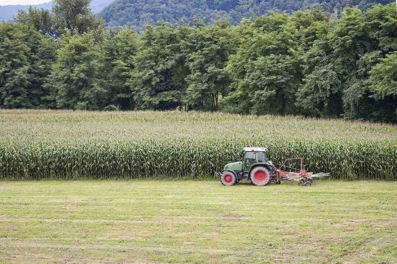Corn Processing: Transforming Grains into Versatile Goods 2 Exploring the Diverse Products Derived from Corn Processing