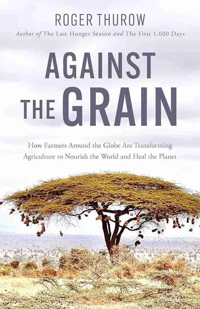 From Field to Plate: The Journey of Rice Processing 2 Transforming Grain: The Art and Science of Rice Milling