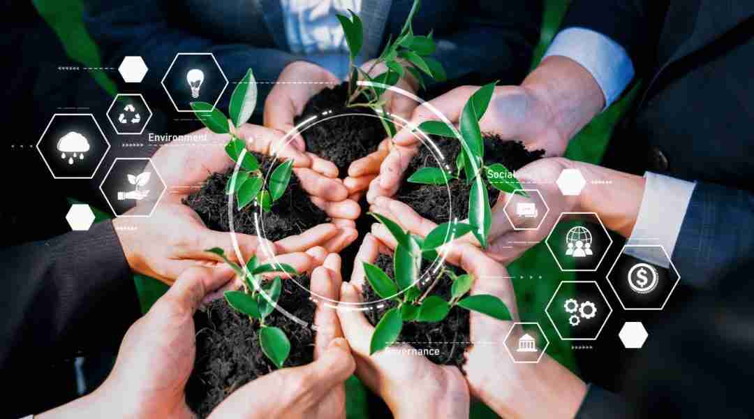 Understanding the Art and Science of Cereal Processing 4 Sustainability Practices in Cereal Manufacturing: Balancing Production with Environmental Responsibility