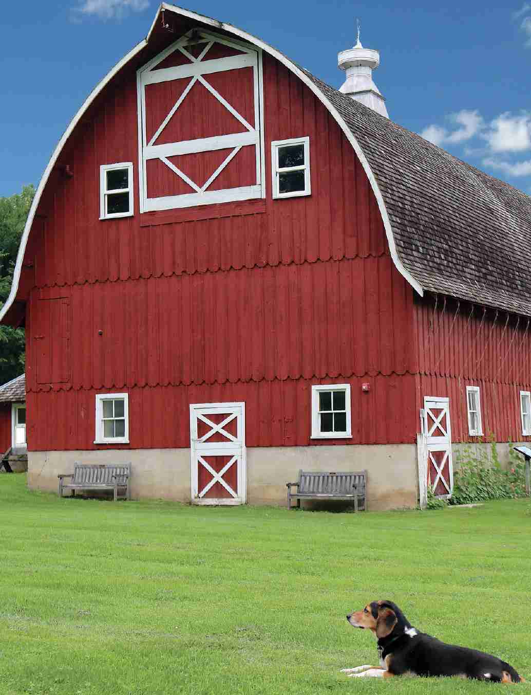 From Kernel to Consumer: The Journey of Corn Processing 3 From Farm to Table: Sustainable Practices in Corn Supply Chains