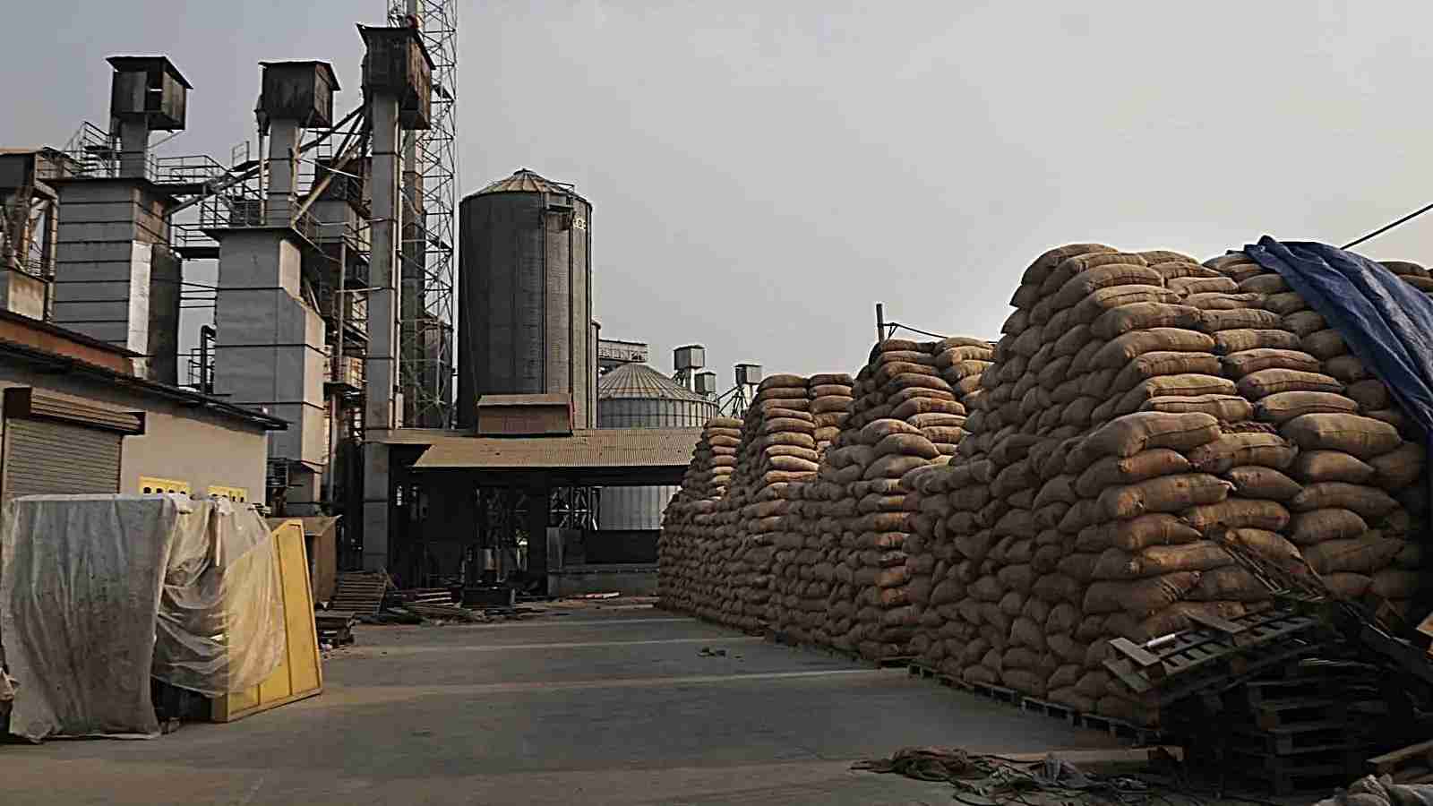 Top Rice Mills: Unveiling the Best for Home and Industry Needs 1 Exploring the Spectrum of Rice Mill Types for Diverse Applications