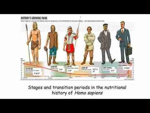 Unveiling the Journey: From Cornfield to Processed Goodness 3 Nutritional Evolution: Understanding the Benefits of Processed Corn